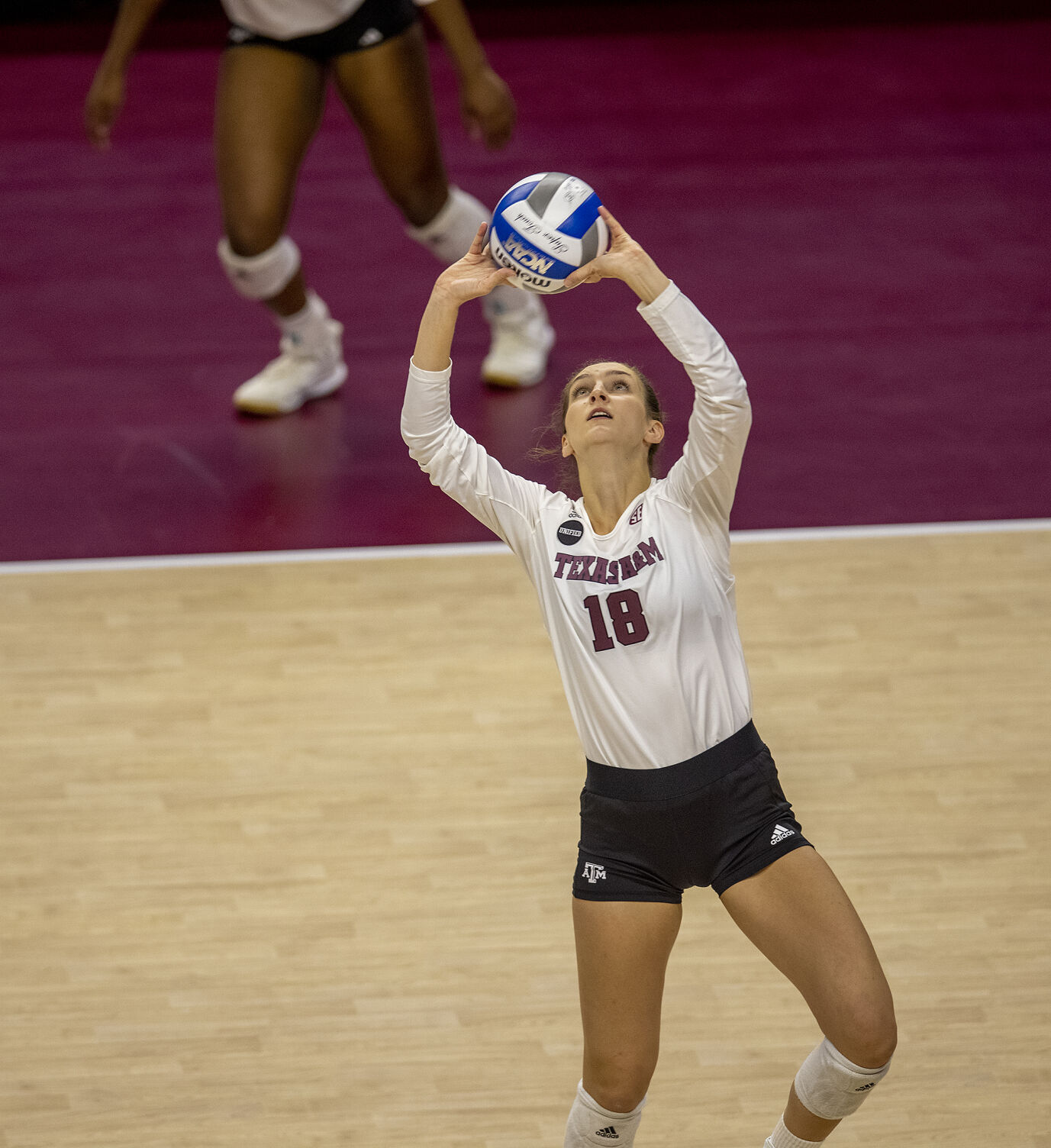 Texas A&M vs Florida